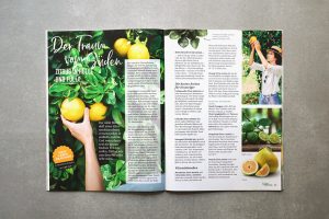 Bellaflora Gartenfreunde – Doppelseite