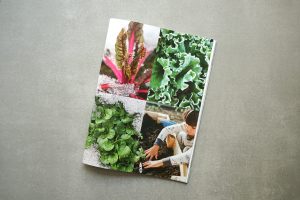 Bellaflora Gartenfreunde – Einzelseite