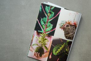 Bellaflora Gartenfreunde – Einzelseite