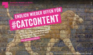 SPK Kampagnenstart – Catcontent