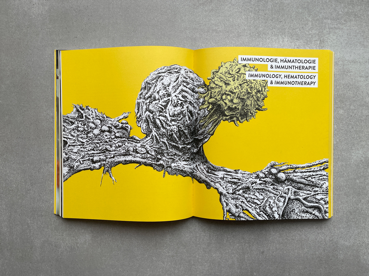 St. Anna Report Doppelseite Illustration