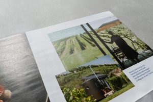 Niederösterreich Werbung Weinherbst
